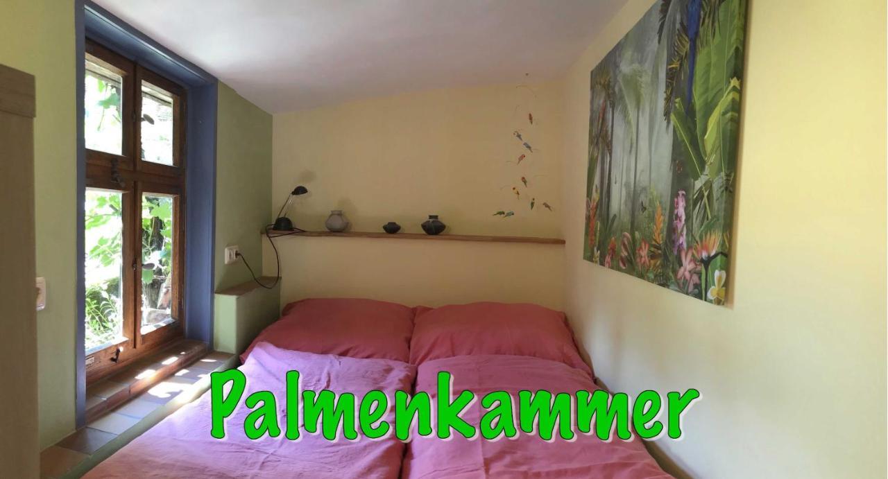 Fewo Paramaribo Witzenhausen Exterior foto